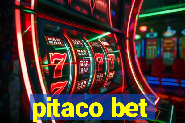 pitaco bet